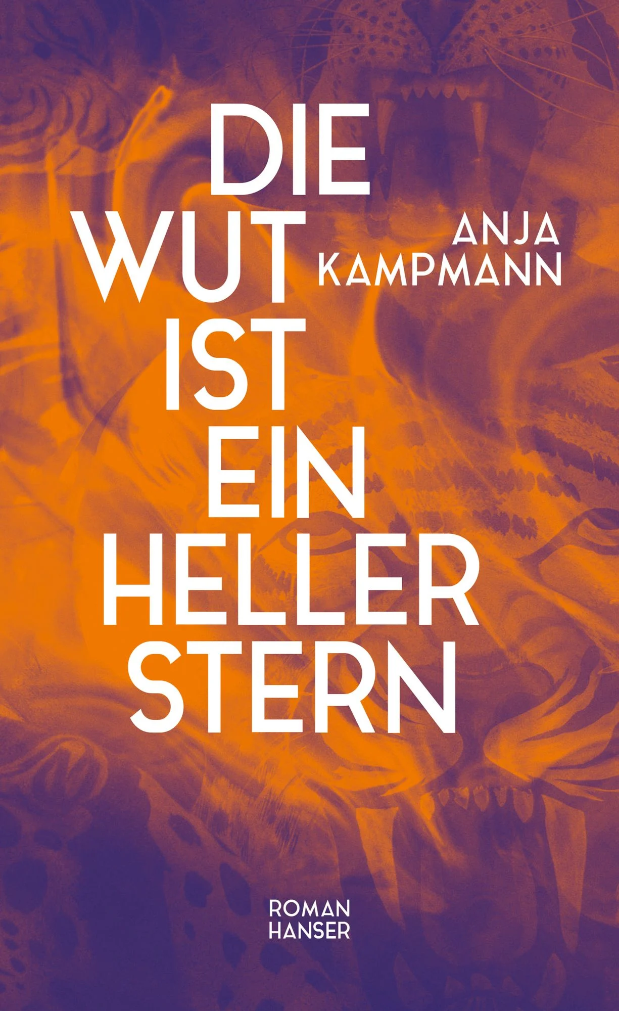 die-wut-ist-ein-heller-stern-gebundene-ausgabe-anja-kampmann